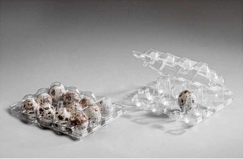 تصویر 4 از شانه تخم بلدرچین ضخیم تولید صنعتی جهت حفظ شکل و جلوگیری از شکستگی